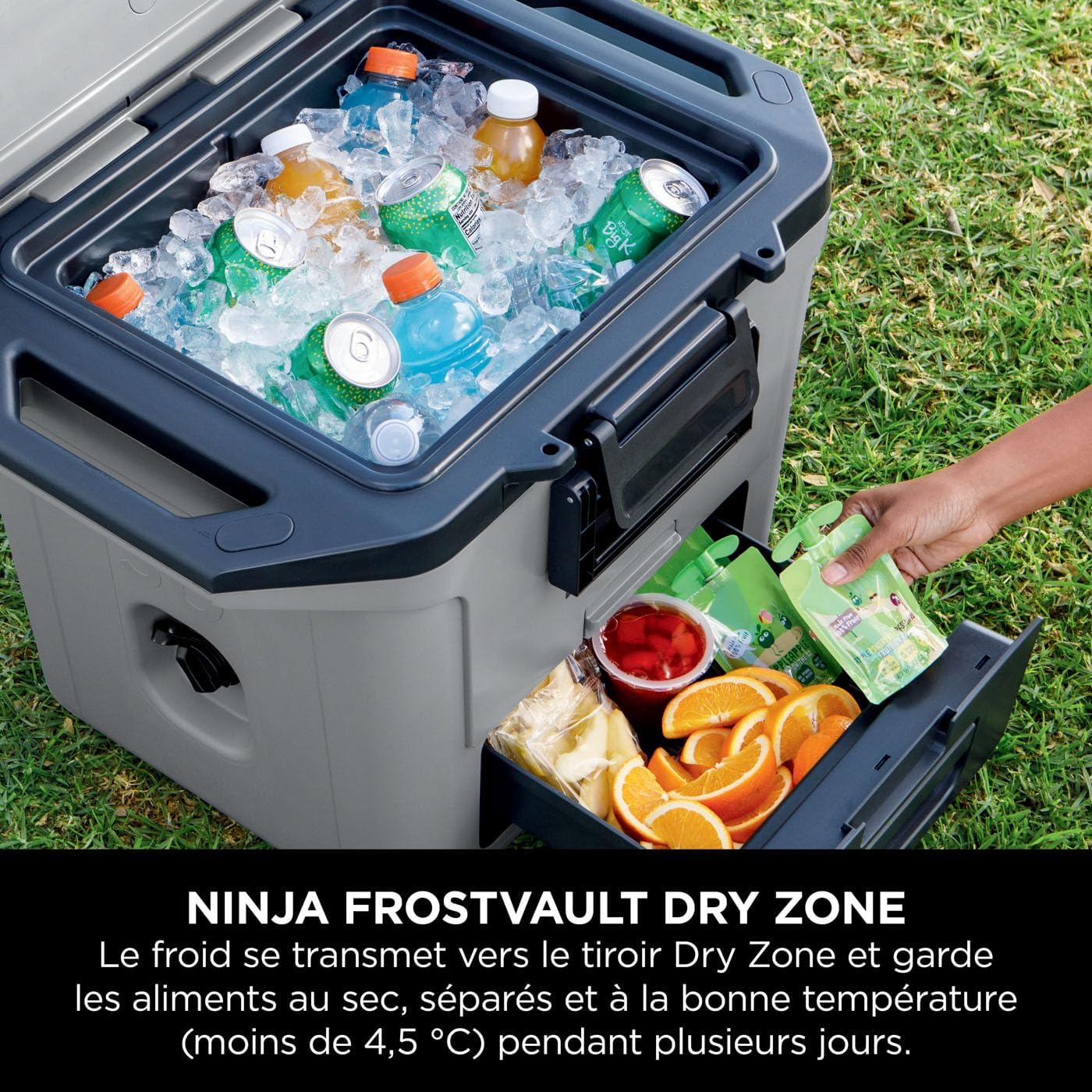 Ninja FrostVault Hard Cooler Premium Cooler, Keeps Ice for Up to Days, Built-in Dry Storage Drawer at Fridge Temperature